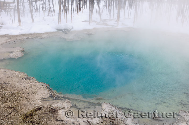 192 Cistern Spring 1.jpg