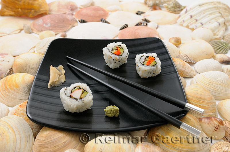 224 Sushi on Shells 2.jpg
