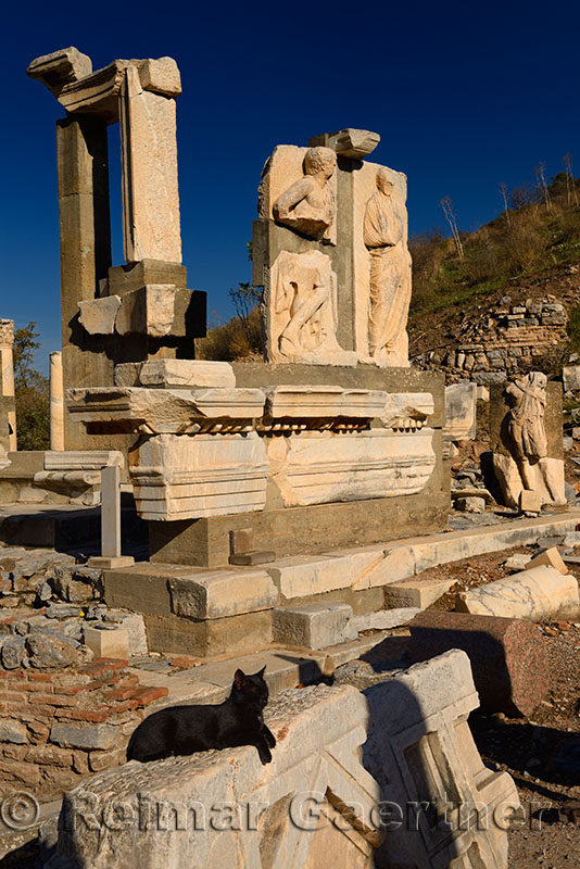 Stone relief at Memmius Monument Curetes street with feral black cat in ruins of ancient Ephesus Turkey