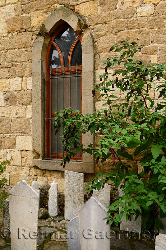 Mosque window with gravestones and pokeweed bush in hillside village of Yesilyurt Malatya Turkey