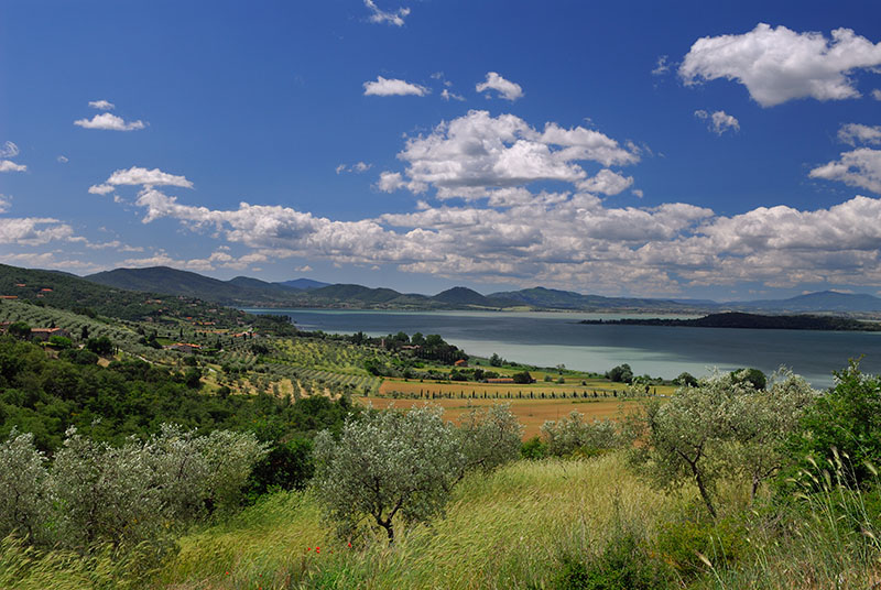 133 Lake Trasimeno 4.jpg