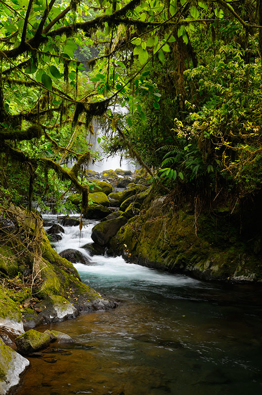 158 Jungle waterfall 2.jpg