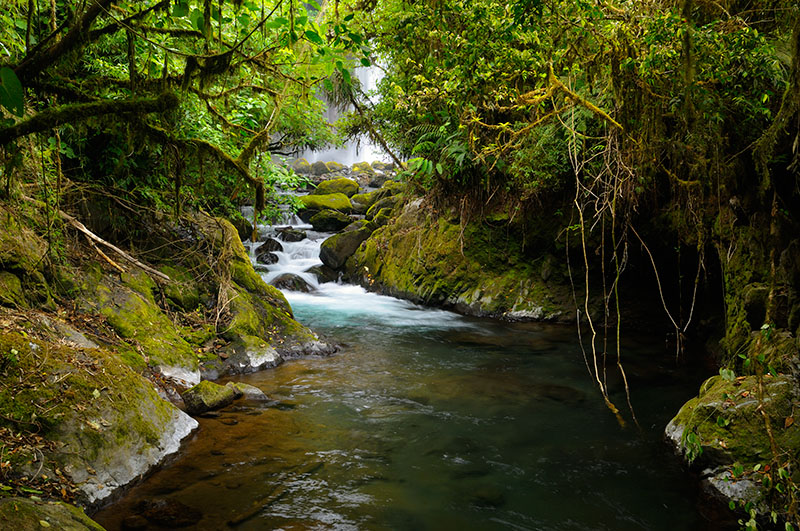 158 Jungle waterfall 3.jpg