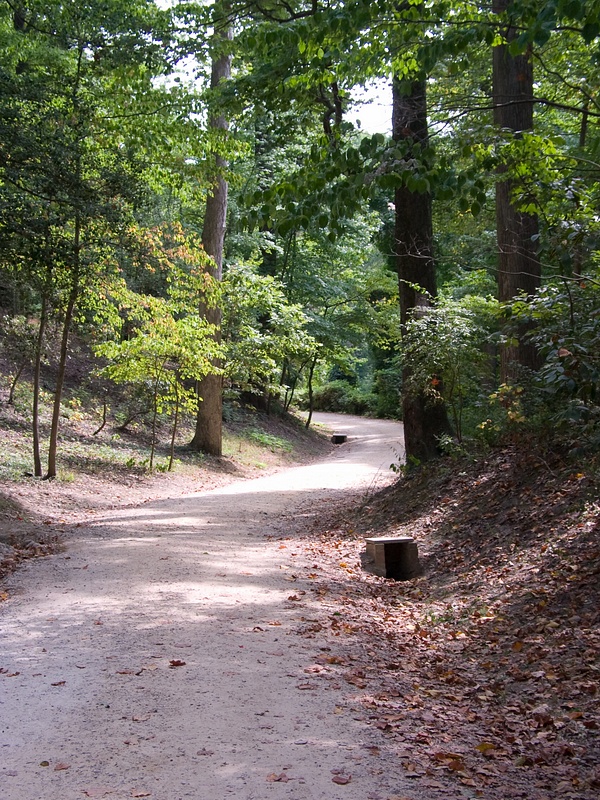 CRW_9836.jpg