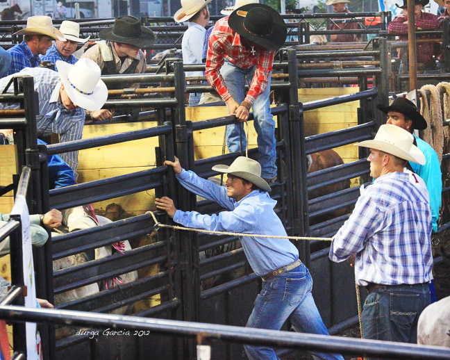 South Florida Rodeo 2012