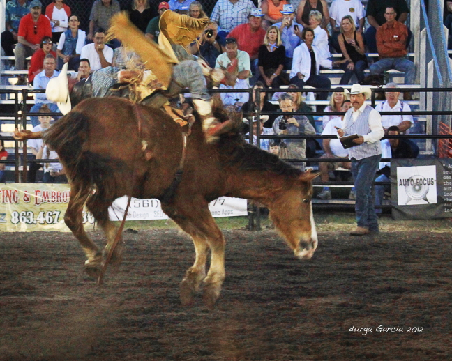South Florida Rodeo 2012