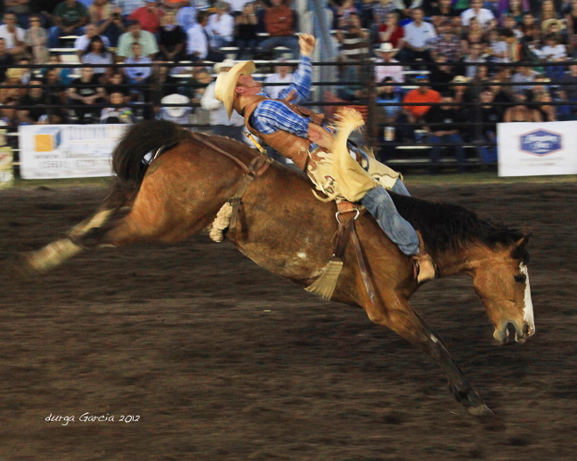 South Florida Rodeo 2012