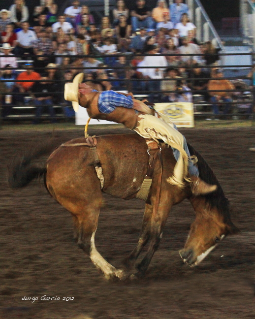 South Florida Rodeo 2012