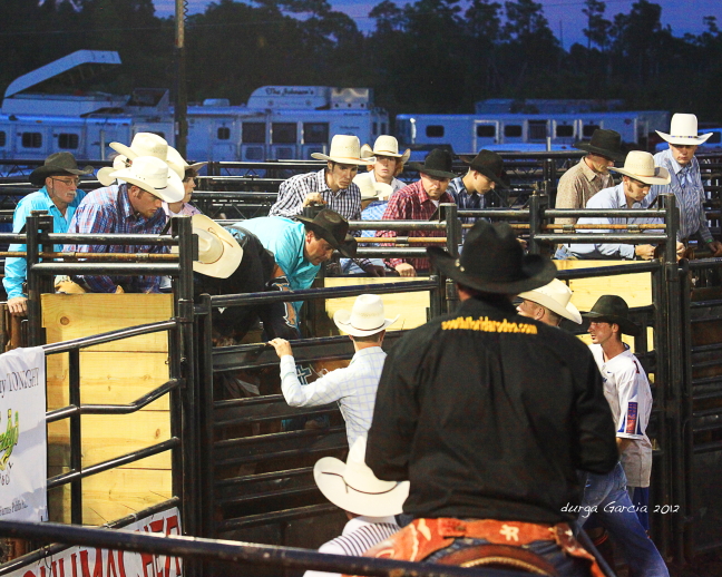 South Florida Rodeo 2012