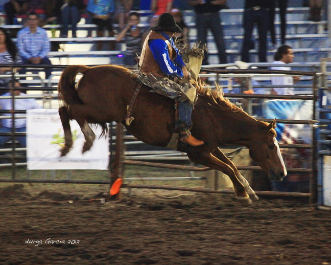 South Florida Rodeo 2012
