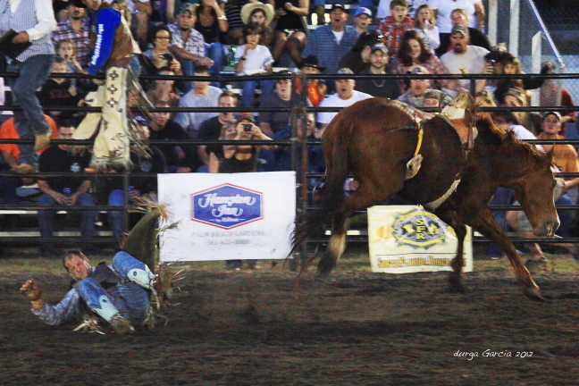 South Florida Rodeo 2012