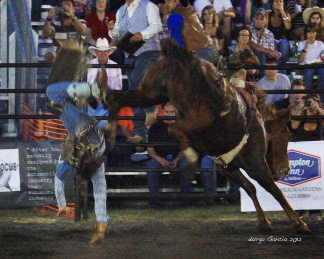 South Florida Rodeo 2012