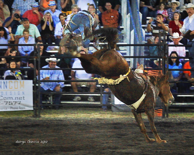 South Florida Rodeo 2012