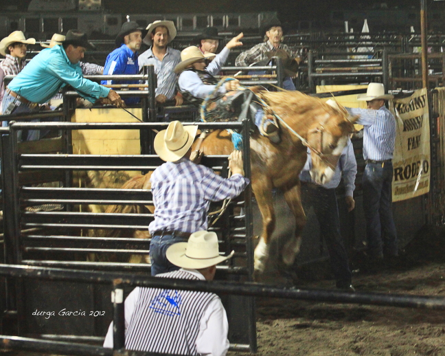 South Florida Rodeo 2012