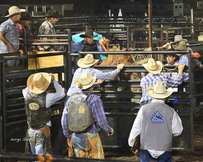 South Florida Rodeo 2012