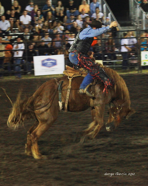 South Florida Rodeo 2012