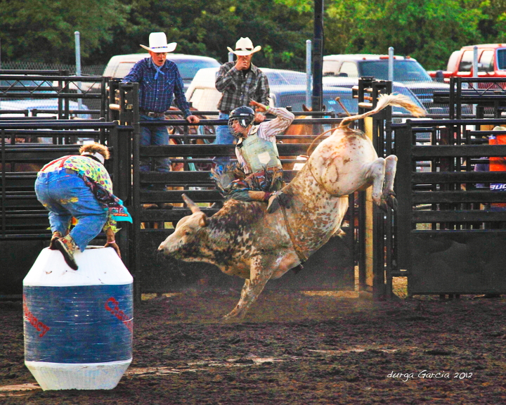 South Florida Rodeo 2012