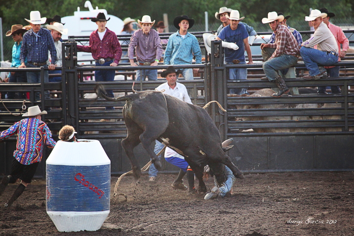 South Florida Rodeo 2012
