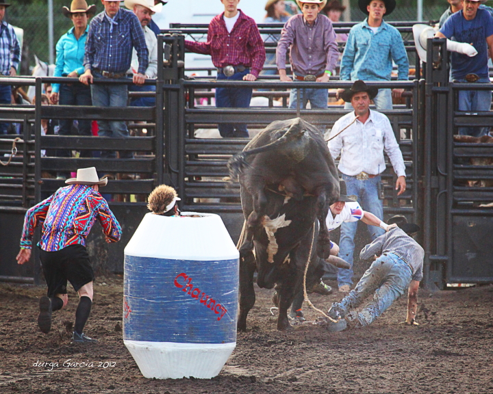 South Florida Rodeo 2012