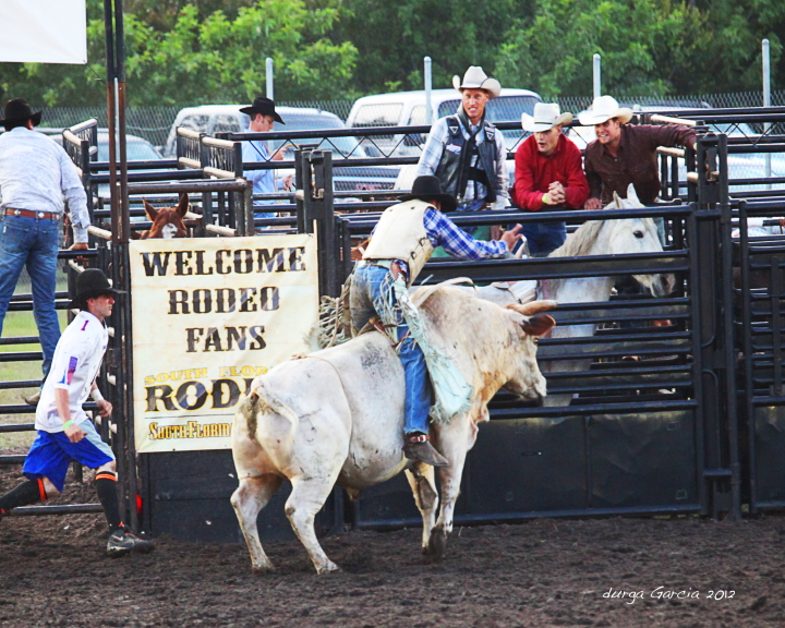 South Florida Rodeo 2012