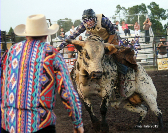 South Florida Rodeo 2012