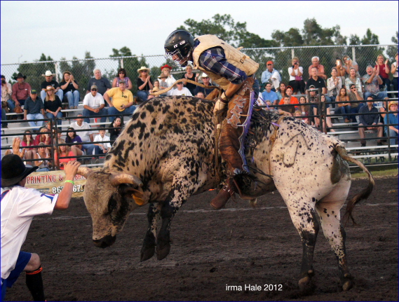 South Florida Rodeo 2012