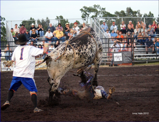 South Florida Rodeo 2012