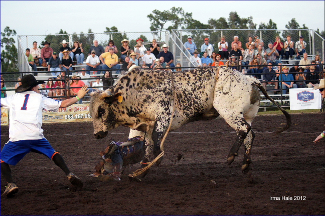 South Florida Rodeo 2012
