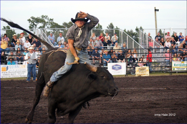 South Florida Rodeo 2012