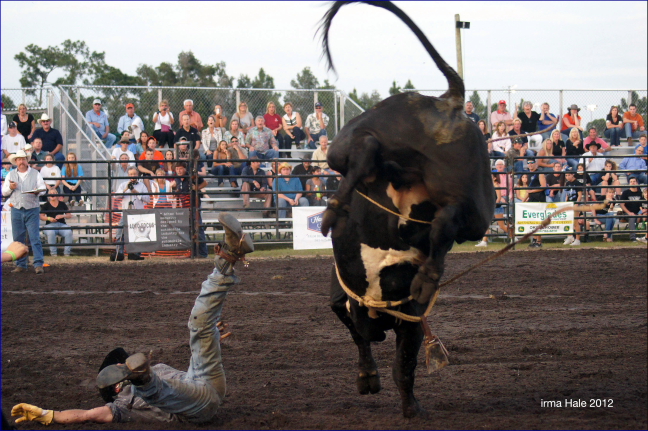 South Florida Rodeo 2012