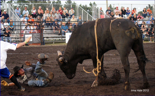 South Florida Rodeo 2012