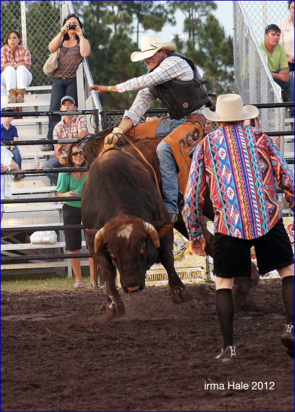 South Florida Rodeo 2012