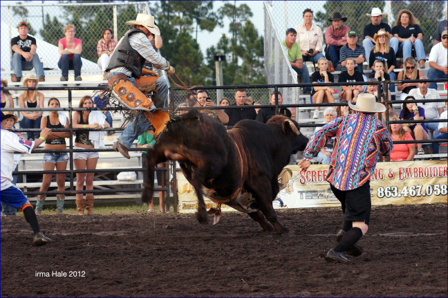 South Florida Rodeo 2012