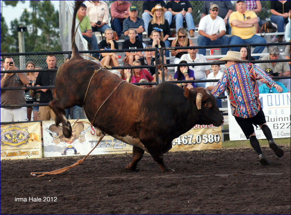 South Florida Rodeo 2012