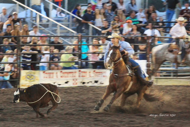 South Florida Rodeo 2012