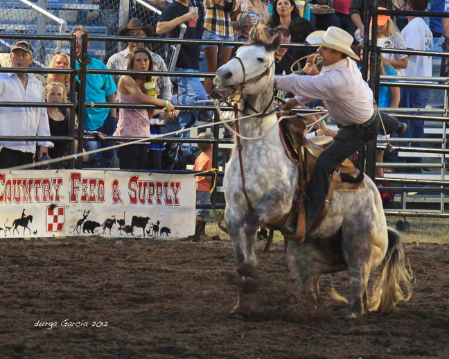 South Florida Rodeo 2012