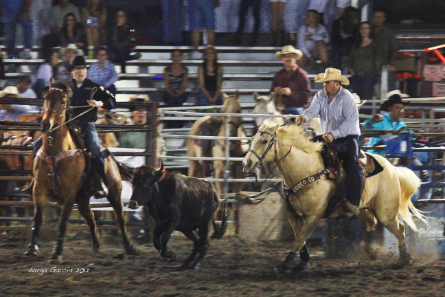 South Florida Rodeo 2012