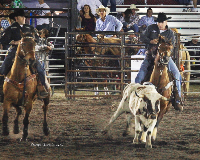 South Florida Rodeo 2012