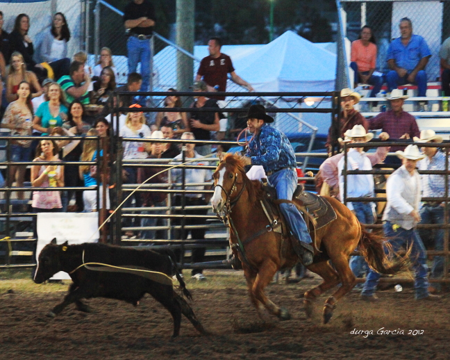 South Florida Rodeo 2012