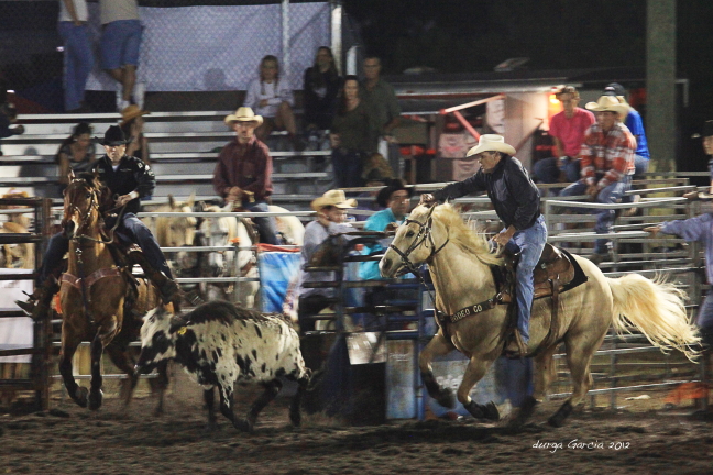 South Florida Rodeo 2012