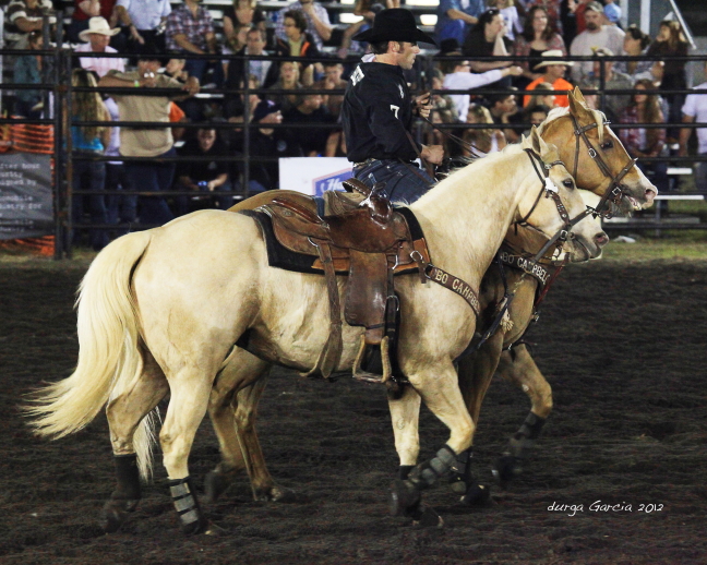 South Florida Rodeo 2012