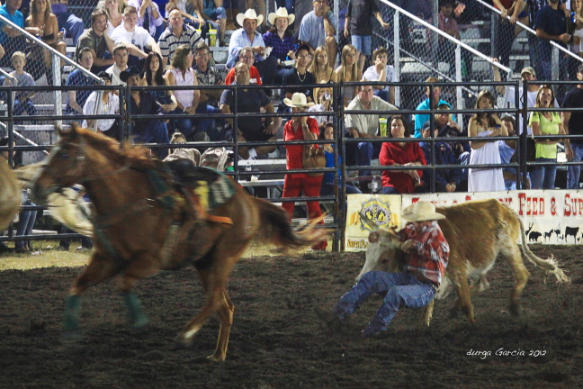 South Florida Rodeo 2012