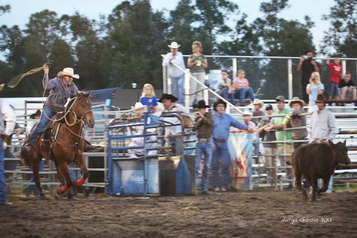 South Florida Rodeo 2012
