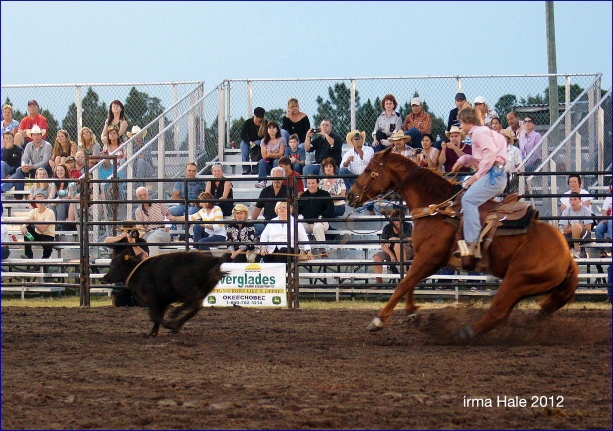 South Florida Rodeo 2012