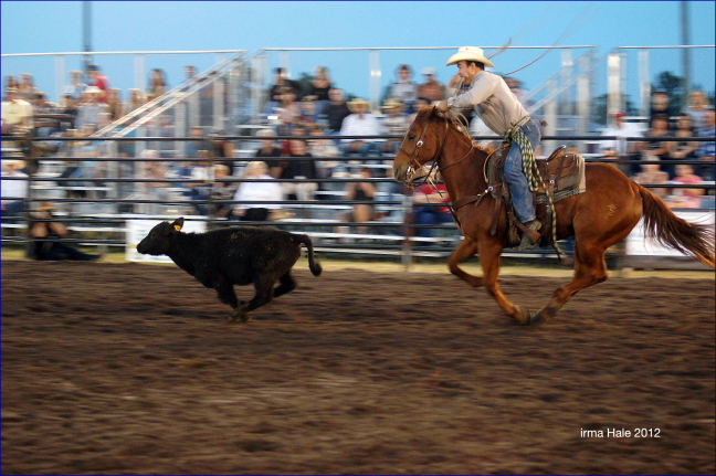 South Florida Rodeo 2012