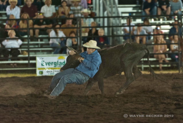 South Florida Rodeo 2012