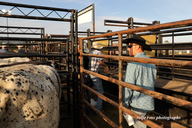 South Florida Rodeo 2012