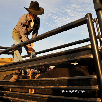 South Florida Rodeo 2012