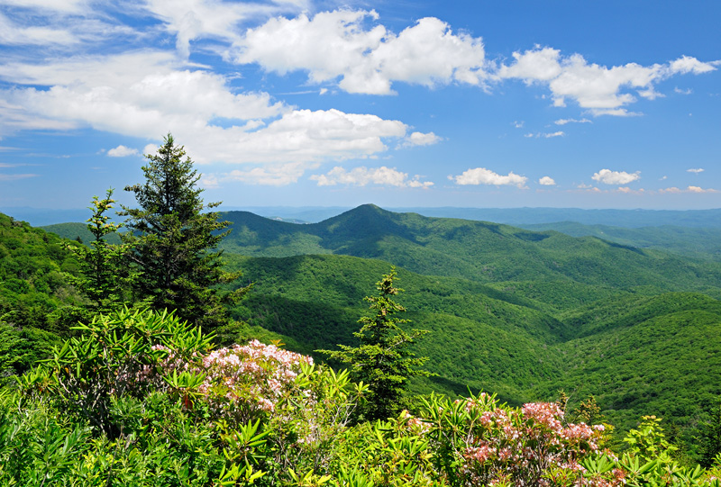 Along the Blue Ridge Parkway