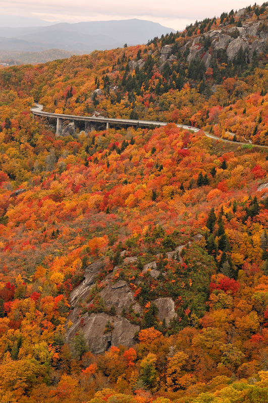 Linville Viaduct (from Rough Ridge)